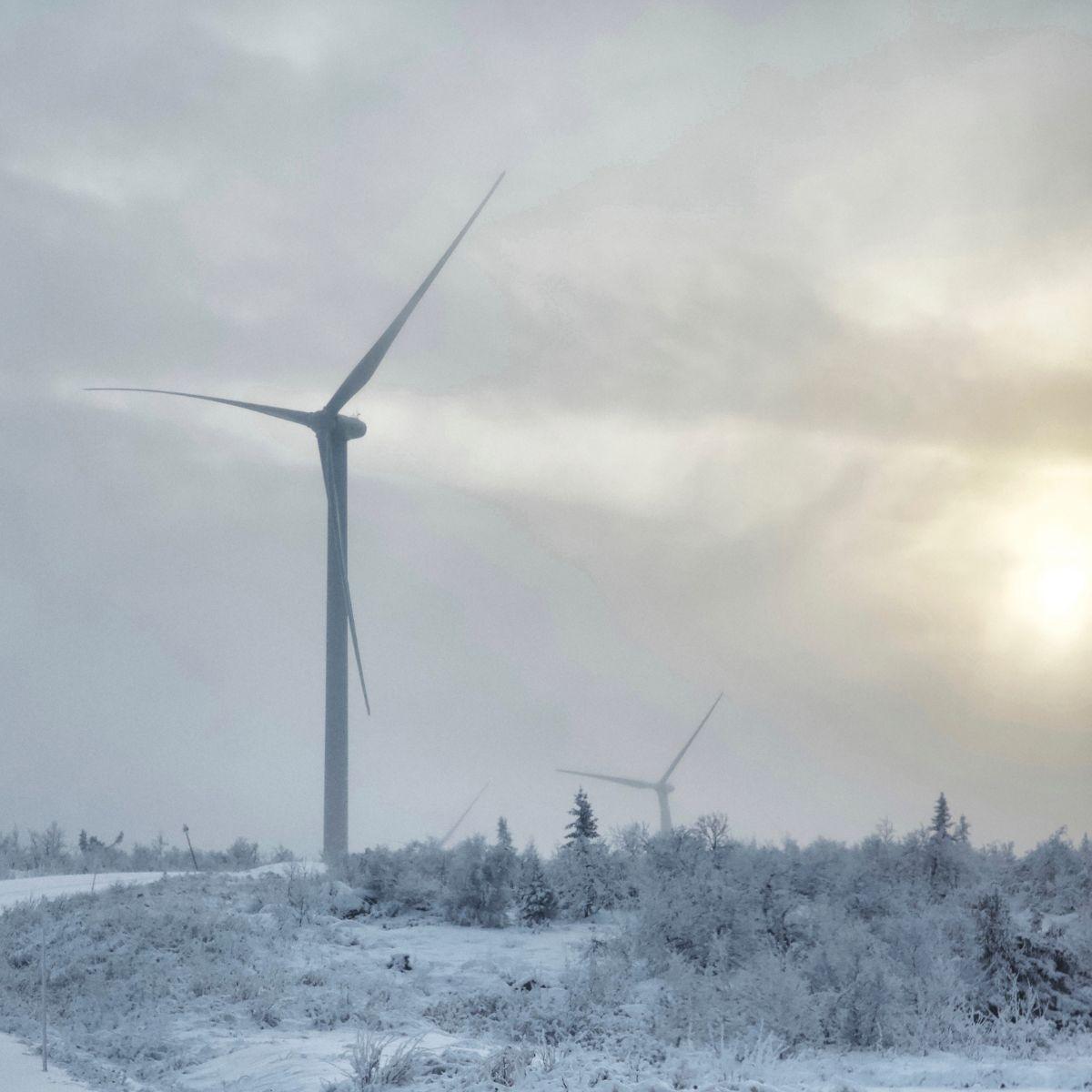 Icing problem on wind turbines. Copyright: gaiamoments/Getty Images/Canva